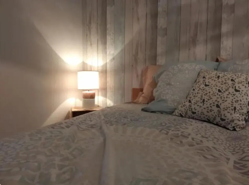 Grand Gite Bressan 1H De Nord Lyon Saint-Didier-d'Aussiat Holiday home